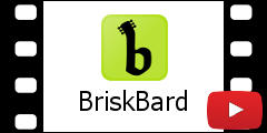 BriskBard overview