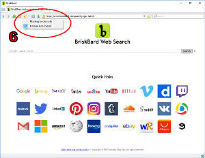 How do I use web bookmarks in BriskBard?