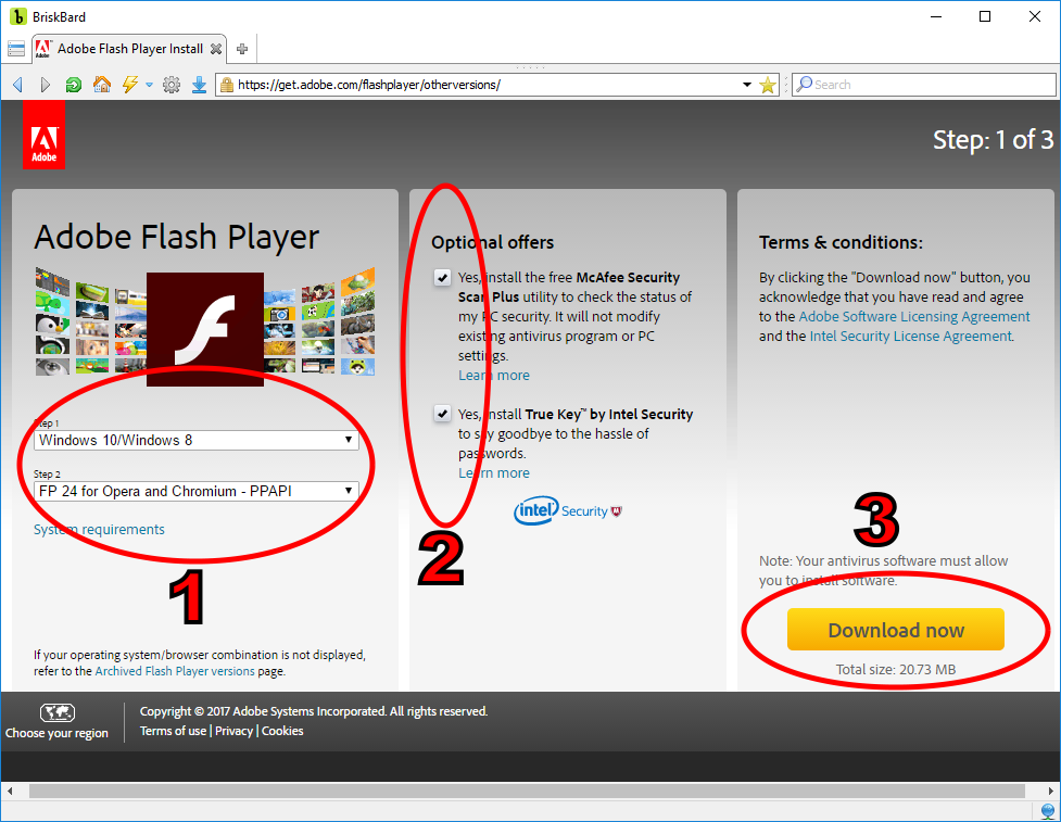 Cómo puedo instalar Adobe Flash Player™ en BriskBard?